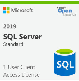 Microsoft SQL Server 2019 - license - 1 user CAL (359-06866)