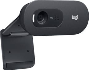 Webcam Logitech C505e (960-001372)