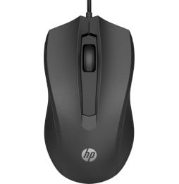 Souris filaire 100 HP (6VY96AA)