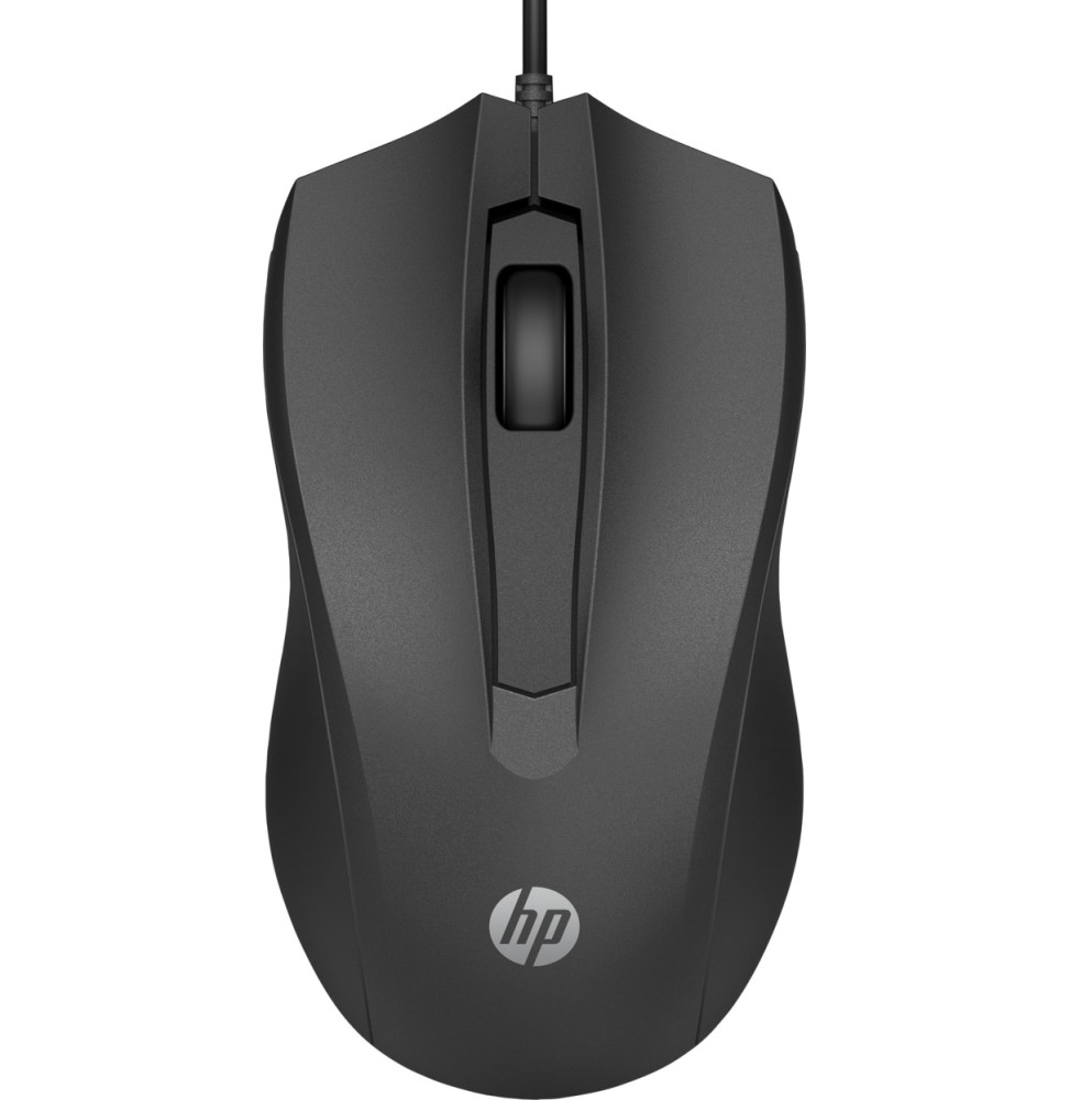 Souris filaire 100 HP (6VY96AA)