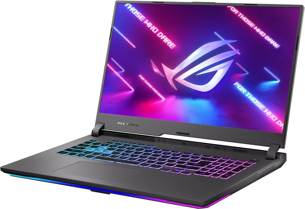 Ordinateur portable Asus ROG Strix G17 G713IE-HG018T (90NR05B2-M00390)
