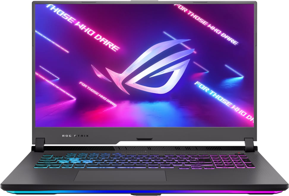 Ordinateur portable Asus ROG Strix G17 G713IE-HG018T (90NR05B2-M00390)