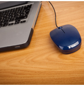 Souris filaire NGS Flame Blue (FLAMEBLUE)