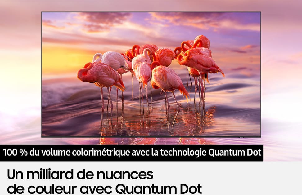 Téléviseur Samsung Q60A Smart TV 4K QLED 55" (QA55Q60AAUXMV)