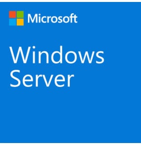 Microsoft Windows Server CAL 2022 - 1pk DSP OEI - 5 Clients - Français (R18-06431)