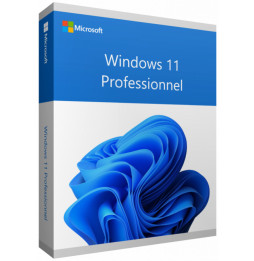 Microsoft Windows 11 Professionnel 64 bits Anglais (Licence originale + DVD) (FQC-10528)