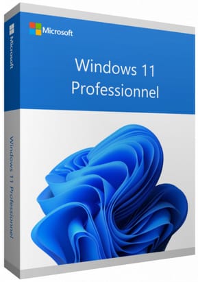 Microsoft Windows 11 Professionnel 64 bits Anglais - Licence originale (FQC-10528)