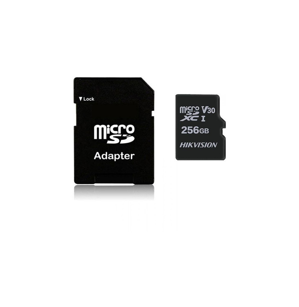 Carte mémoire microSDXC C1 256GB Classe 10 (HS-TF-C1/256G)