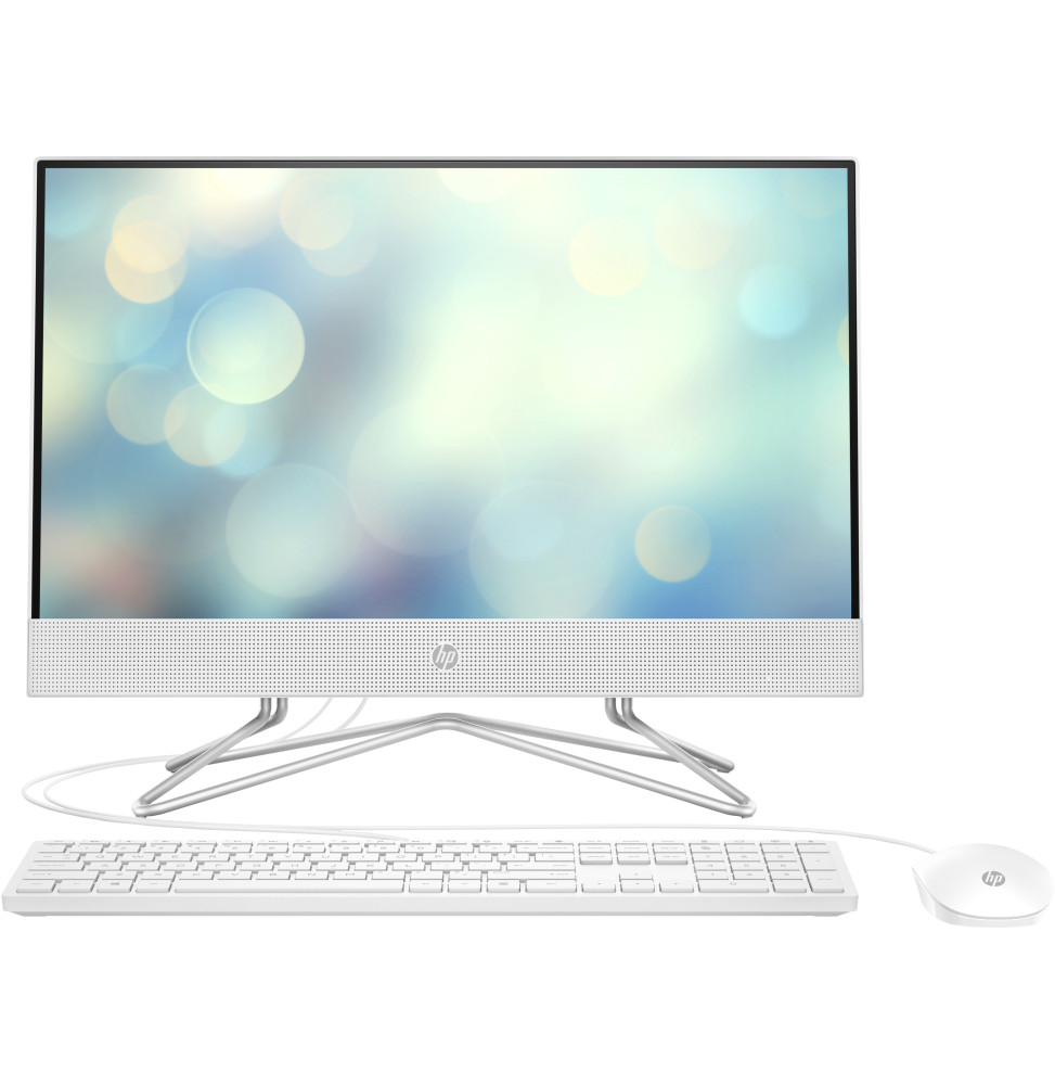 Ordinateur tout-en-un HP 22-dd1000nk (601V0EA)