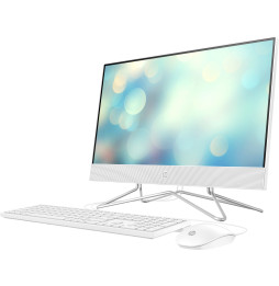Ordinateur tout-en-un HP 22-dd1000nk (601V0EA)