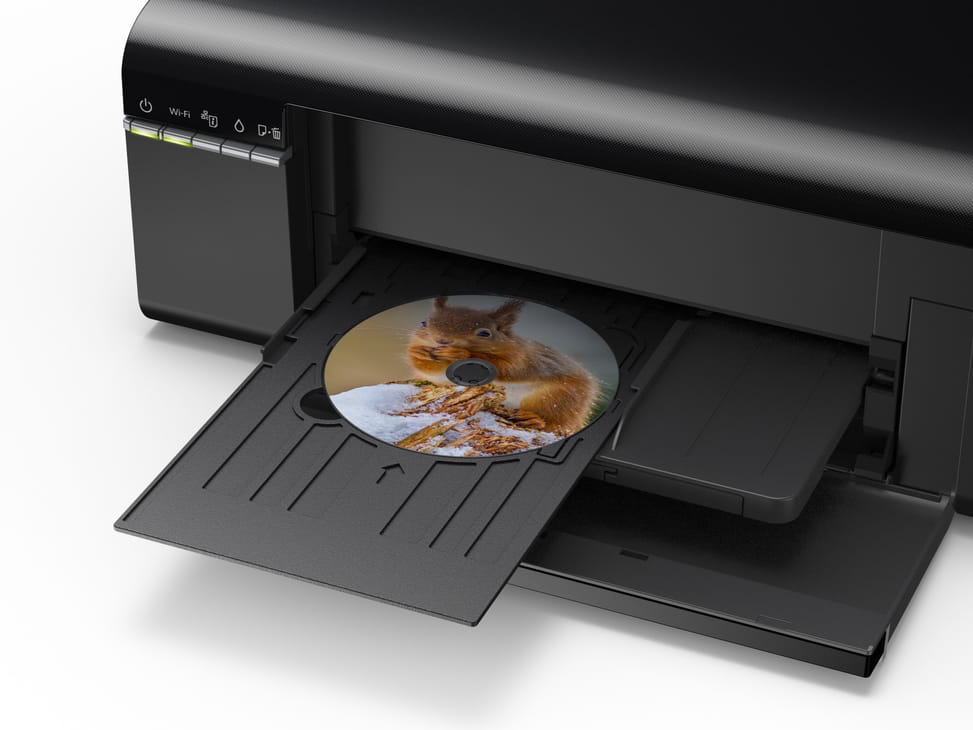 Epson EcoTank L805 Imprimante Photo à réservoirs rechargeables (C11CE86402)