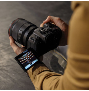 Appareil photo hybride Canon EOS R6 + objectif RF 24-105mm F4-7.1 IS STM (4082C023AA)