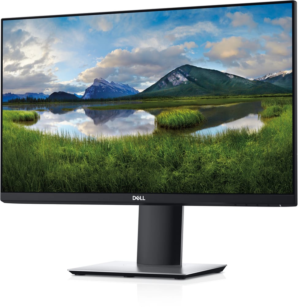 Écran 23" Full HD Dell P2319H (P2319H-3Y)