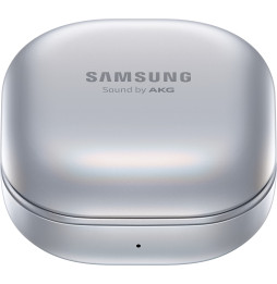 Écouteurs sans fil Samsung Galaxy Buds Pro Gris fantôme (SM-R190NZSAMEA)