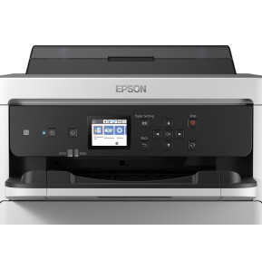 WorkForce Pro WF-C5210DW (C11CG06402)