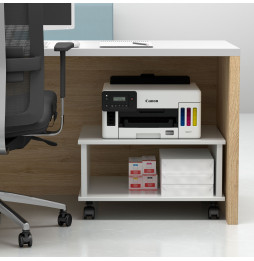 Imprimante multifonction à réservoirs rechargeables Canon MAXIFY GX5040 (5550C009AA)