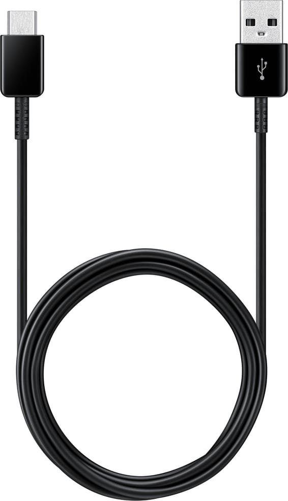 Câble Samsung type C uniquement - lot de 2 unités - (EP-DG930MBEGWW)