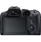 Appareil photo hybride Canon EOS R7 + Objectif RF-S 18-150mm F3.5-6.3 IS STM + Bague d'adaptation monture EF-EOS R (5137C019AA)