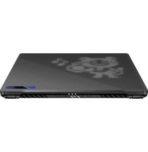 Ordinateur portable Asus ROG Zephyrus G14 GA402R (90NR09T4-M00650)