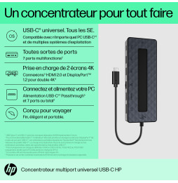 Station d'accueil Mini Dock USB type C HP (1PM64AA) prix Maroc