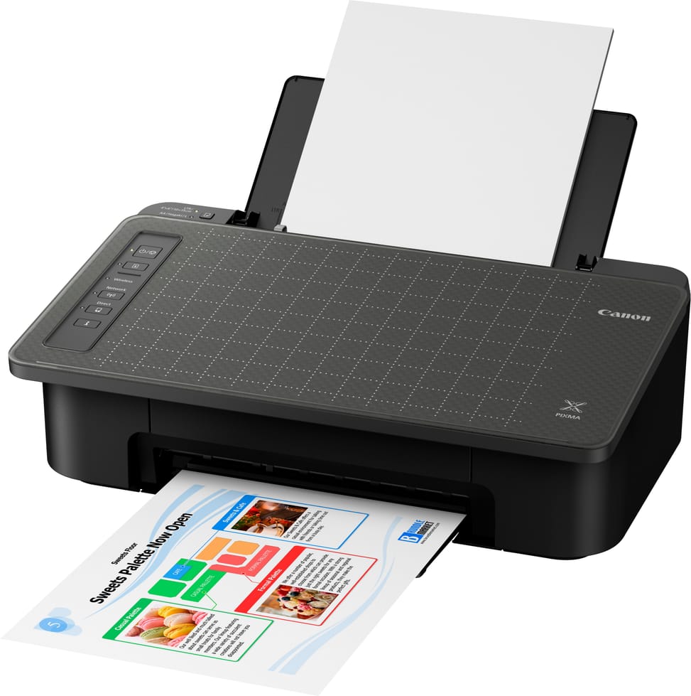 Imprimante Jet d'encre A4 Canon PIXMA TS304 (2321C007AA)