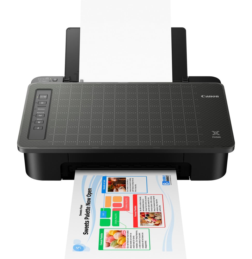 Imprimante Jet d'encre A4 Canon PIXMA TS304 (2321C007AA)
