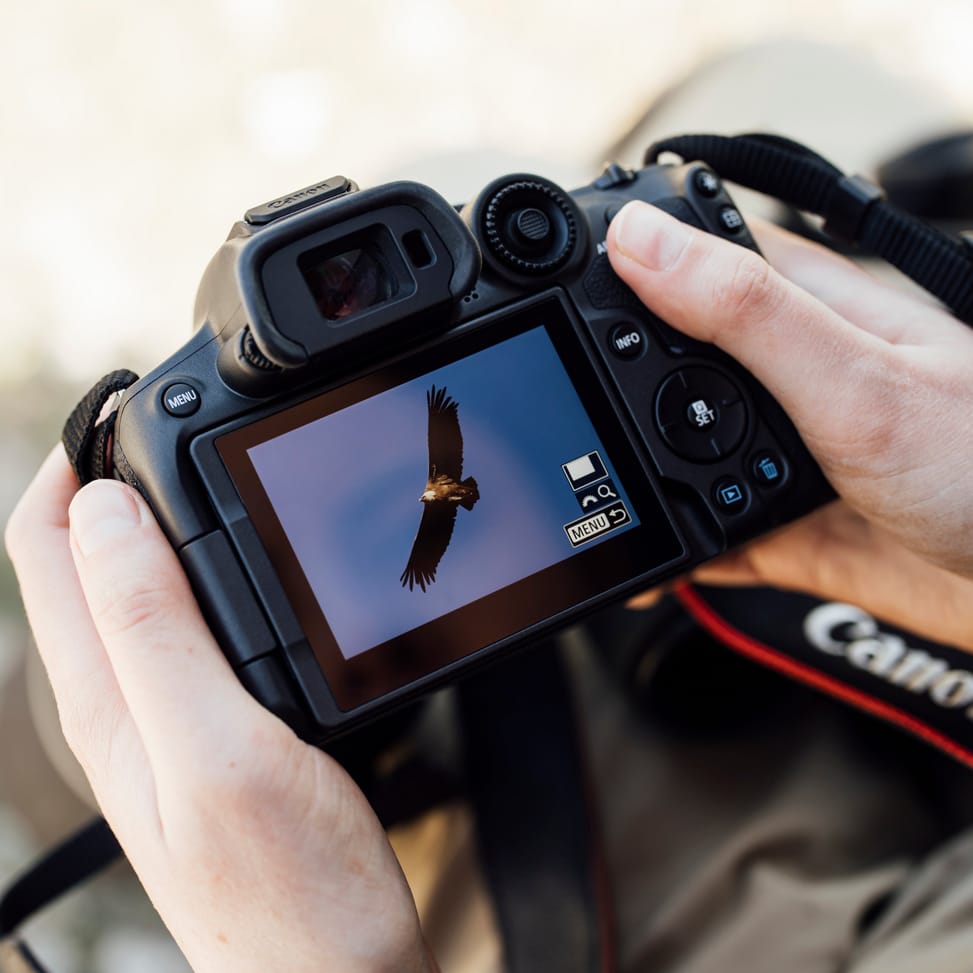 Appareil photo hybride Canon EOS R7 + objectif RF-S 18-150mm F3.5-6.3 IS STM (5137C010AA) — image 12