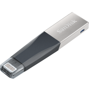 Clé USB SanDisk Mini iXpand Pour Votre iPhone 128 Go (SDIX40N-128G-GN6NE)