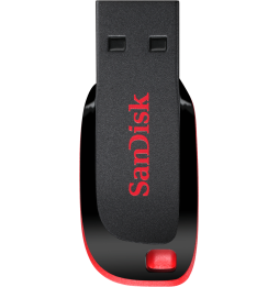 Clé USB SanDisk Cruzer Blade 128 Go (SDCZ50-128G-B35)