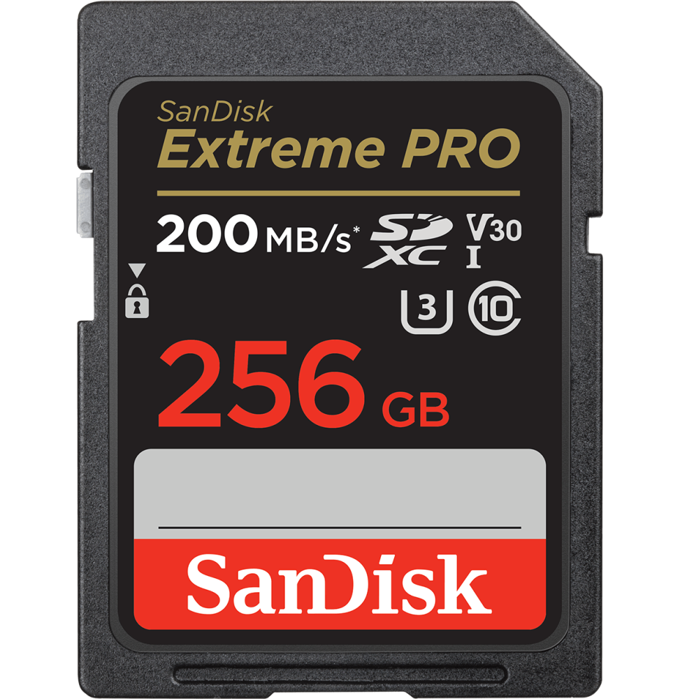 Carte mémoire SDXC™ UHS-I SanDisk Extreme PRO 256 Go (SDSDXXD-256G-GN4IN)