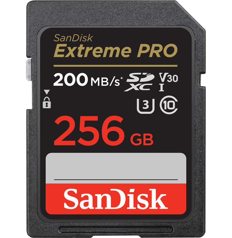 Carte mémoire SDXC™ UHS-I SanDisk Extreme PRO 256 Go (SDSDXXD-256G-GN4IN)  prix Maroc