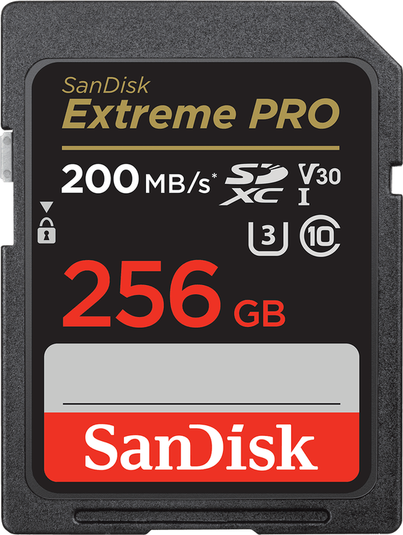 Carte mémoire SDXC™ UHS-I SanDisk Extreme PRO 256 Go (SDSDXXD-256G-GN4IN)