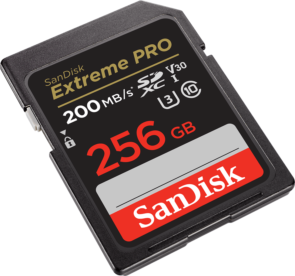 Carte mémoire SDXC™ UHS-I SanDisk Extreme PRO 256 Go (SDSDXXD-256G-GN4IN) — image 2