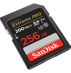 Carte mémoire SDXC™ UHS-I SanDisk Extreme PRO 256 Go (SDSDXXD-256G-GN4IN)