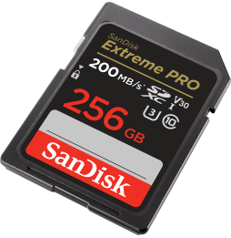 Carte mémoire SDXC™ UHS-I SanDisk Extreme PRO 256 Go (SDSDXXD-256G-GN4IN)