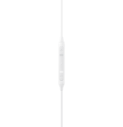 Écouteurs Samsung USB Type-C Earphones (EO-IC100BWEGWW)