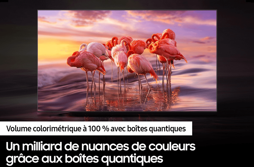 Téléviseur Samsung 50" Q60B smart TV QLED UHD 4K (QA50Q60CAUXMV) — image 9