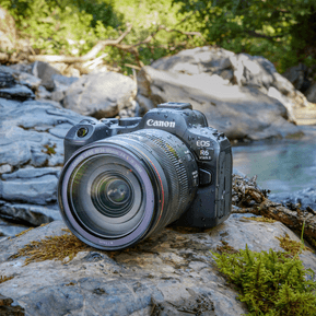 Appareil photo hybride Canon EOS R6 Mark II boîtier nu (5666C005AA) — image 8