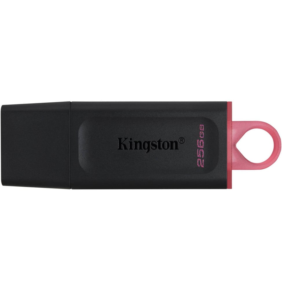 Clé USB Kingston DataTraveler Exodia USB Type-A 3.2 Gen1 - 256 Go (DTX/256GB)