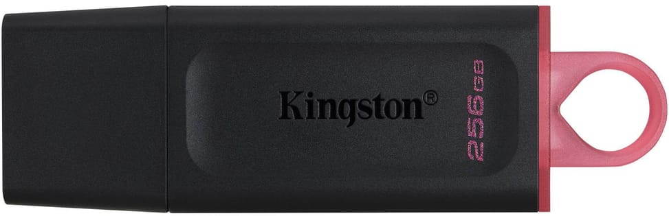 Kingston DataTraveler Exodia USB Type-A 3.2 Gen1 Flash Drive - 256 GB (DTX/256GB) — image 1