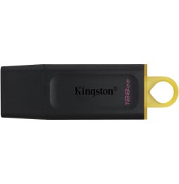 Clé USB Kingston...