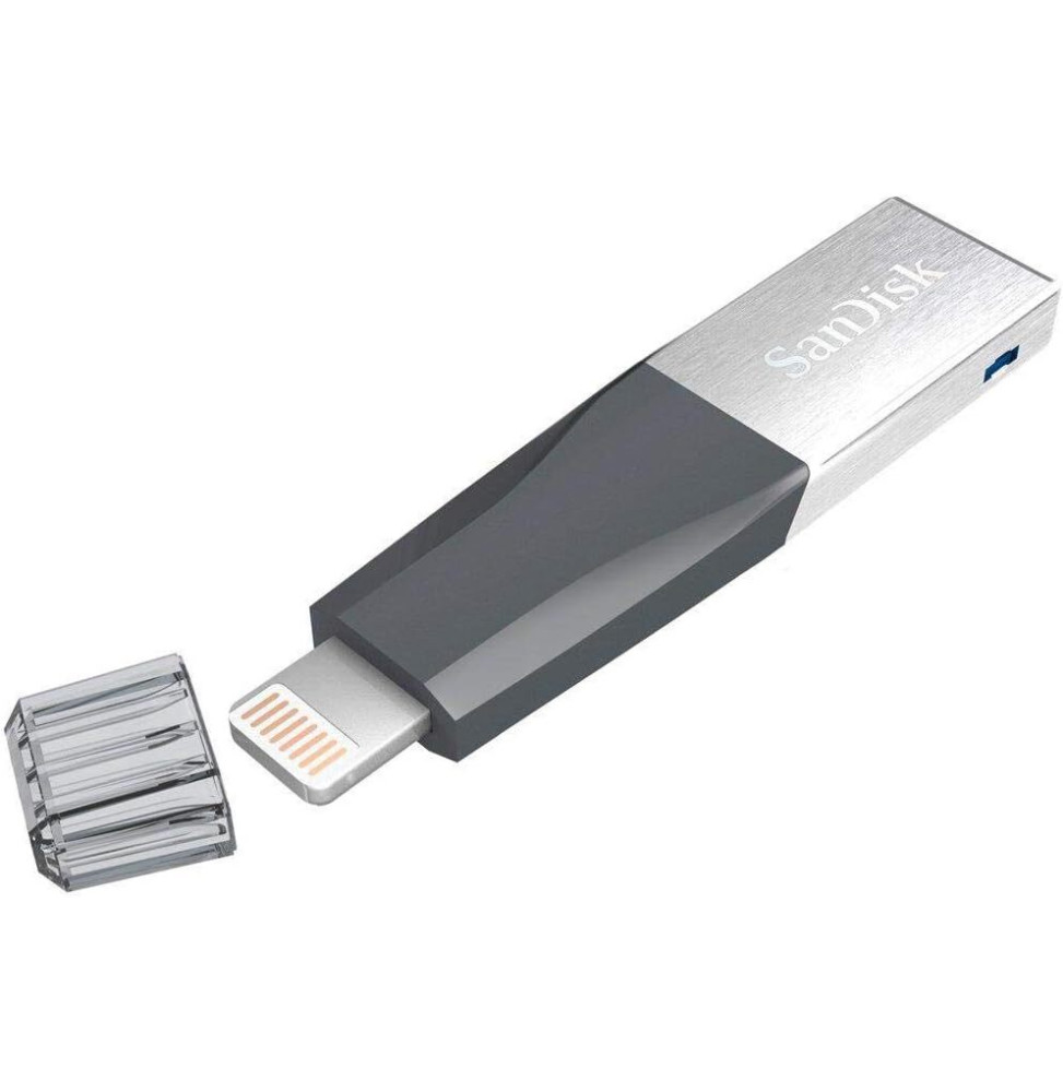 Clé USB SanDisk iXpand Mini Pour Votre iPhone 128 Go (SDIX40N-128-GN6NE)