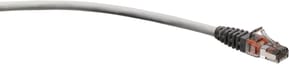 Cordon RJ45 Cat6a S/FTP ZH 5 mètres (AC6PCG050-888HB)