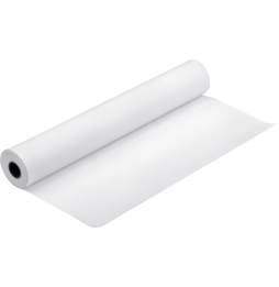 Epson Pap Proofing Blanc Semi-Mat 256g 24" (0,610x30,5m) (C13S042004)