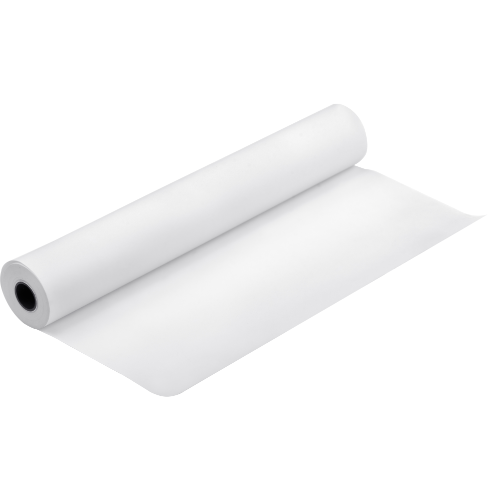 Epson Pap Proofing Blanc Semi-Mat 256g 24" (0,610x30,5m) (C13S042004)