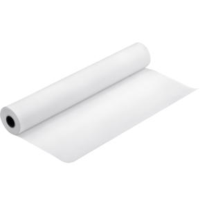 Epson Pap Proofing Blanc Semi-Mat 256g 24" (0,610x30,5m) (C13S042004)
