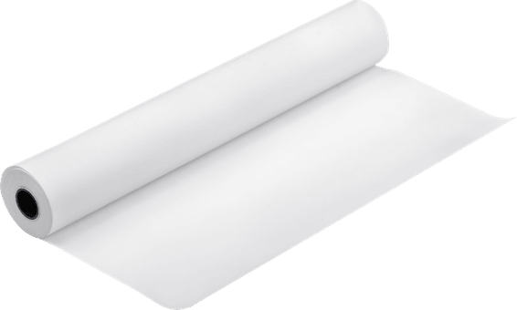 Papier d'épreuvage semi-mat Epson Proofing Paper Blanc Semimatte 256g 24" (0,610x30,5m) (C13S042004)
