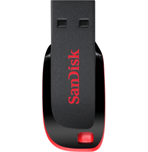 Clé USB SanDisk Cruzer Blade USB 2.0 - 32 Go (SDCZ50-032G-B35)