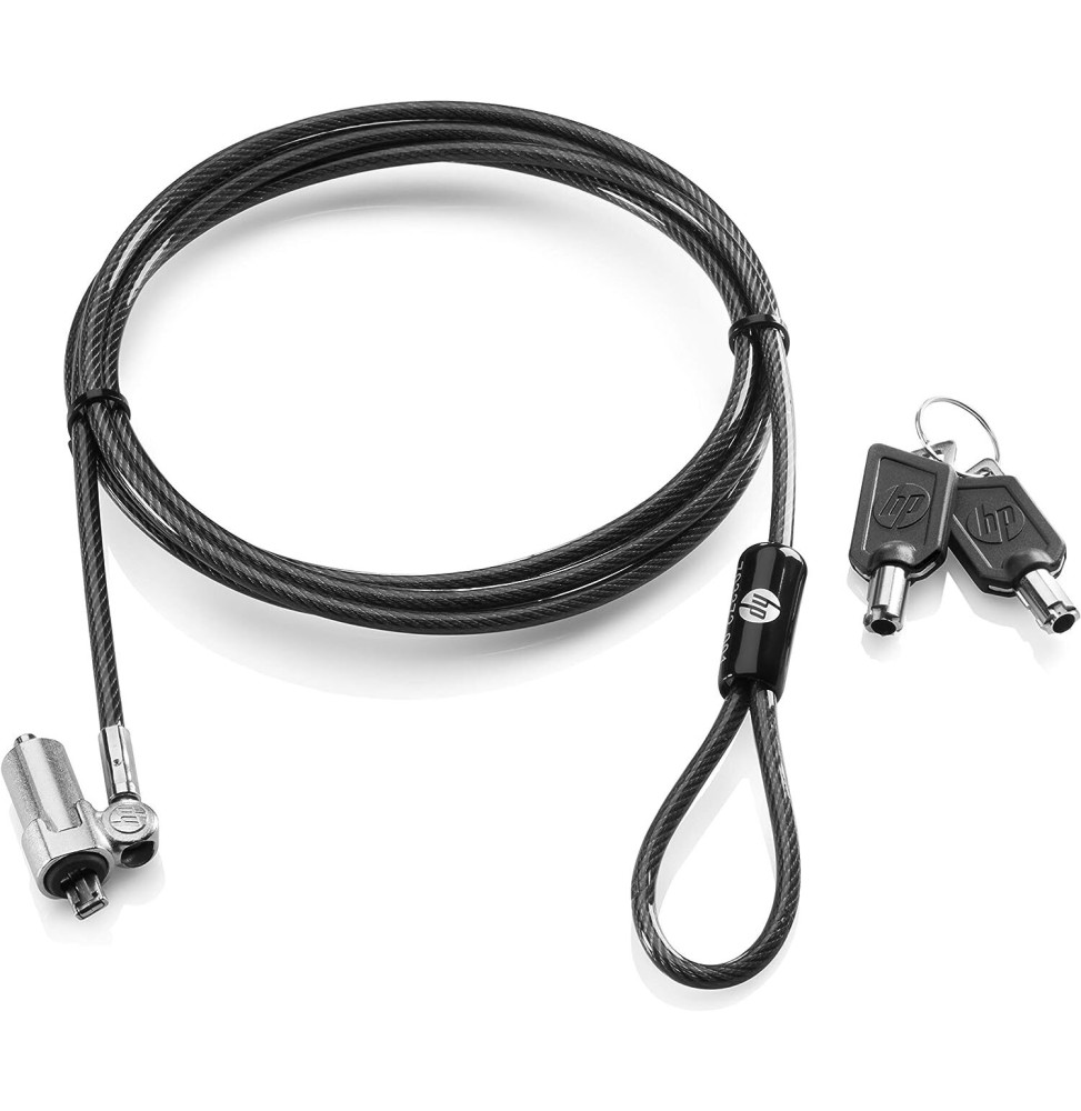 Kit de verrouillage HP de câble à clé 10 mm (T1A62AA) prix Maroc