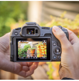 Appareil photo hybride Canon EOS R8 + objectif RF 24-50mm F4.5-6.3 IS STM (5803C013AA)